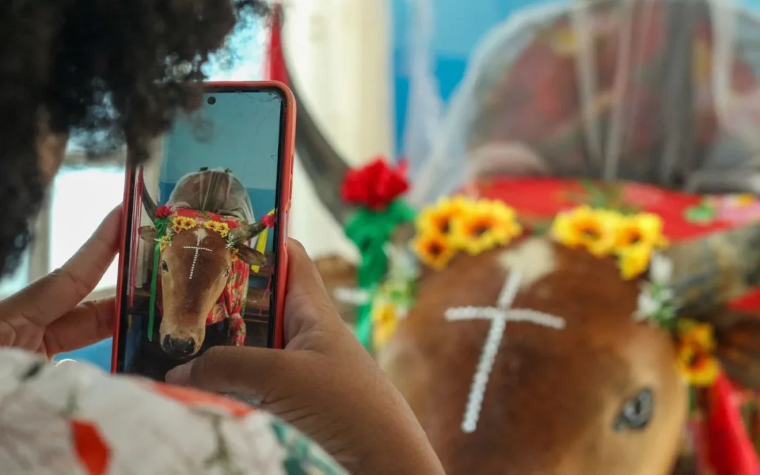 Memória Viva: projeto capacita jovens quilombolas para registrar festejos da comunidade